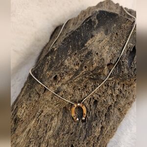 Vintage Tortoiseshell Horseshoe on a silver chain
